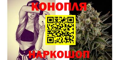 мет Кингисепп